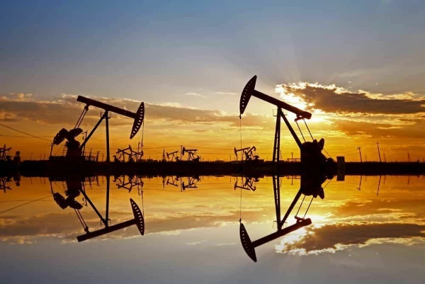 India's October 2023 Import of Crude Oil Increases Slightly to $12.4B