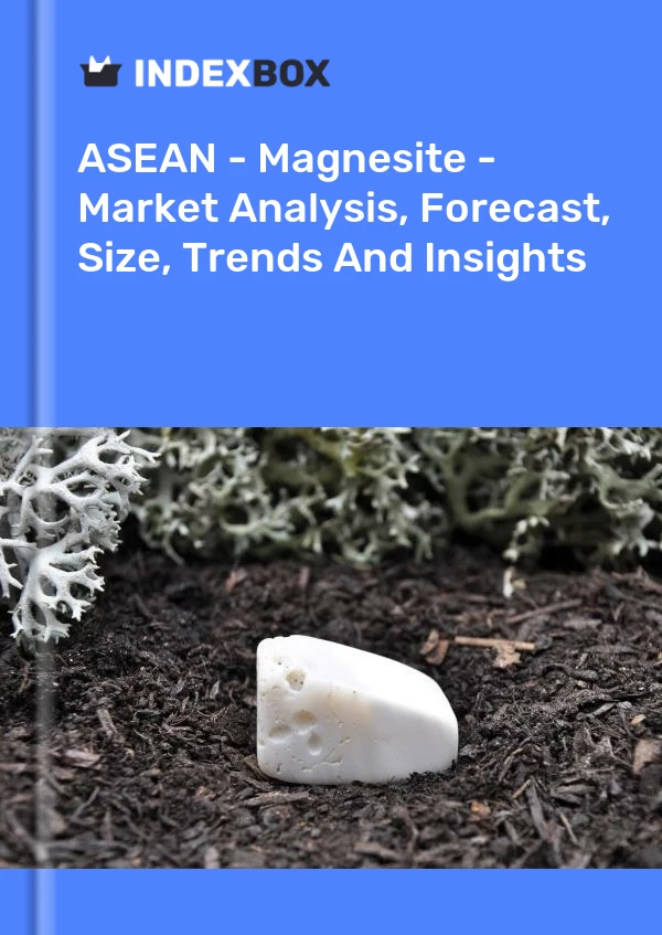 Report ASEAN - Magnesite - Market Analysis, Forecast, Size, Trends and Insights for 499$