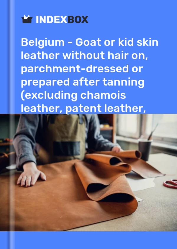 Report Belgium - Goat or kid skin leather without hair on, parchment-dressed or prepared after tanning (excluding chamois leather, patent leather, patent laminated leather and metallised leather) - Market Analysis, Forecast, Size, Trends and Insights for 499$