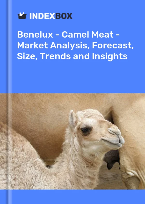 Report Benelux - Camel Meat - Market Analysis, Forecast, Size, Trends and Insights for 499$