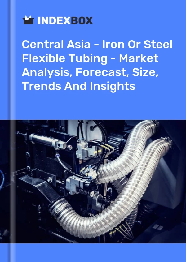 报告 中亚 - 钢铁软管 - 市场分析、预测、规模、趋势和见解 for 499$