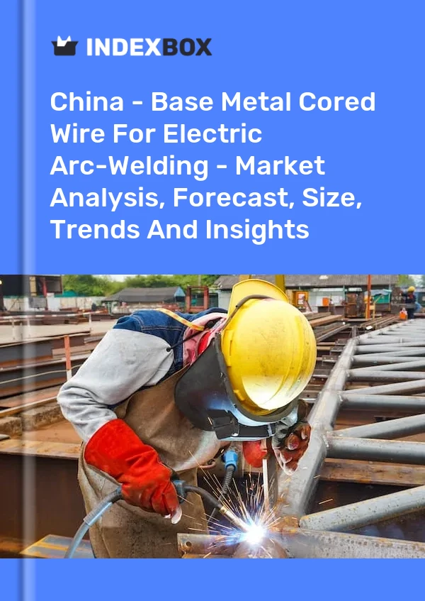 报告 中国 - 电弧焊用贱金属包芯焊丝 - 市场分析、预测、规模、趋势和见解 for 499$