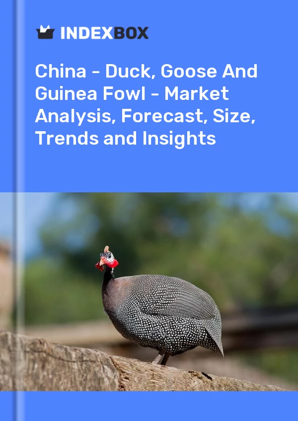 报告 中国 - 鸭、鹅和珍珠鸡 - 市场分析、预测、规模、趋势和见解 for 499$