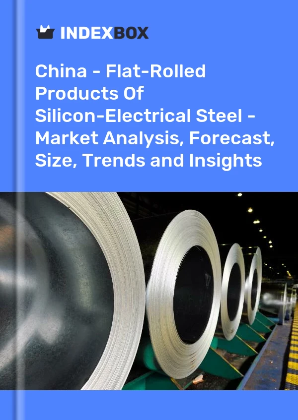 China - Flat-Rolled Products Of Silicon-Electrical Steel - Market Analysis, Forecast, Size, Trends and Insights
