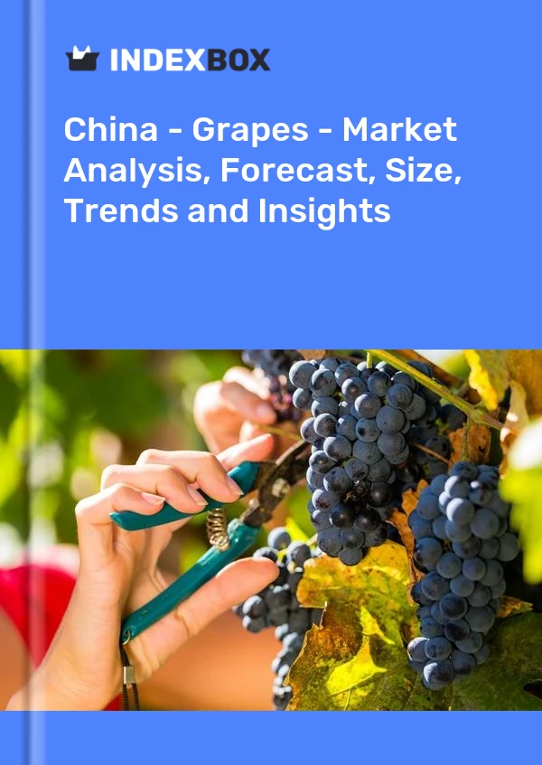 报告 中国 - 葡萄 - 市场分析、预测、规模、趋势和见解 for 499$