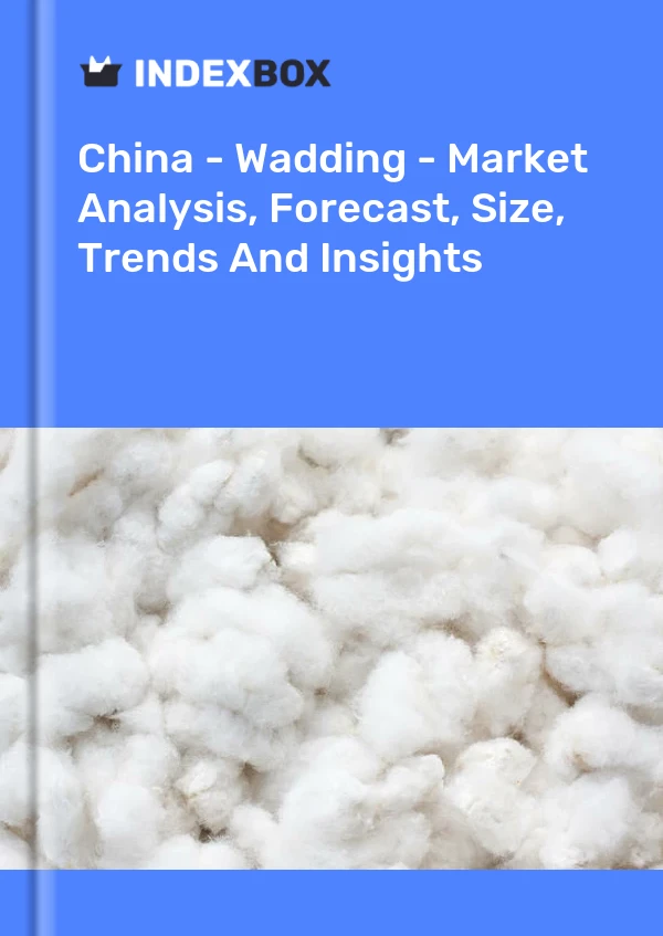 报告 中国 - 填料 - 市场分析、预测、规模、趋势和见解 for 499$