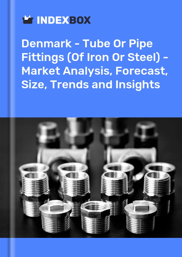 报告 丹麦 - 管件或管件（铁或钢） - 市场分析、预测、尺寸、趋势和见解 for 499$