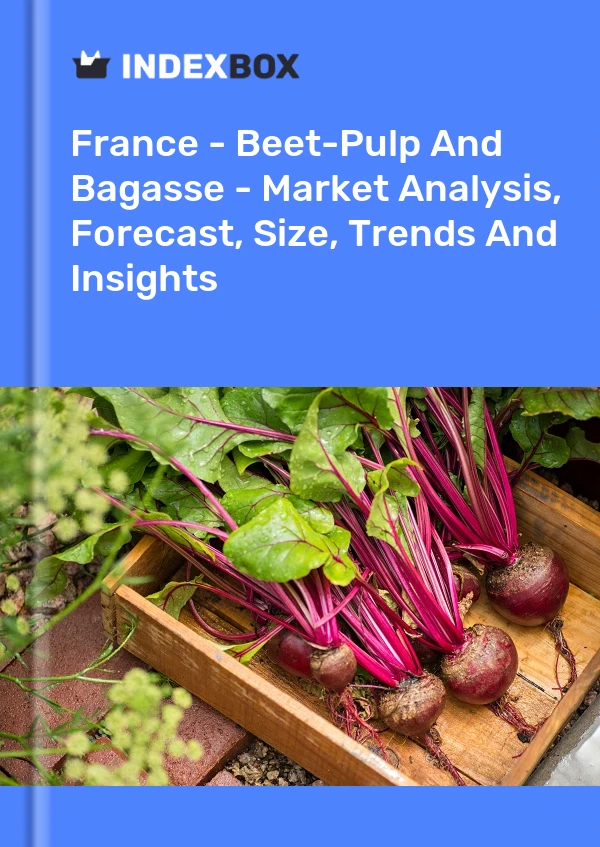 France - Beet-Pulp And Bagasse - Market Analysis, Forecast, Size, Trends And Insights