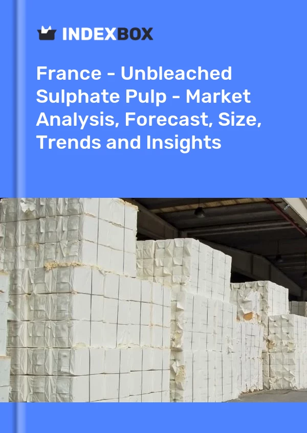 报告 法国 - 未漂白硫酸盐纸浆 - 市场分析、预测、规模、趋势和见解 for 499$