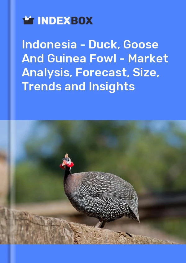 报告 印度尼西亚 - 鸭、鹅和珍珠鸡 - 市场分析、预测、规模、趋势和见解 for 499$