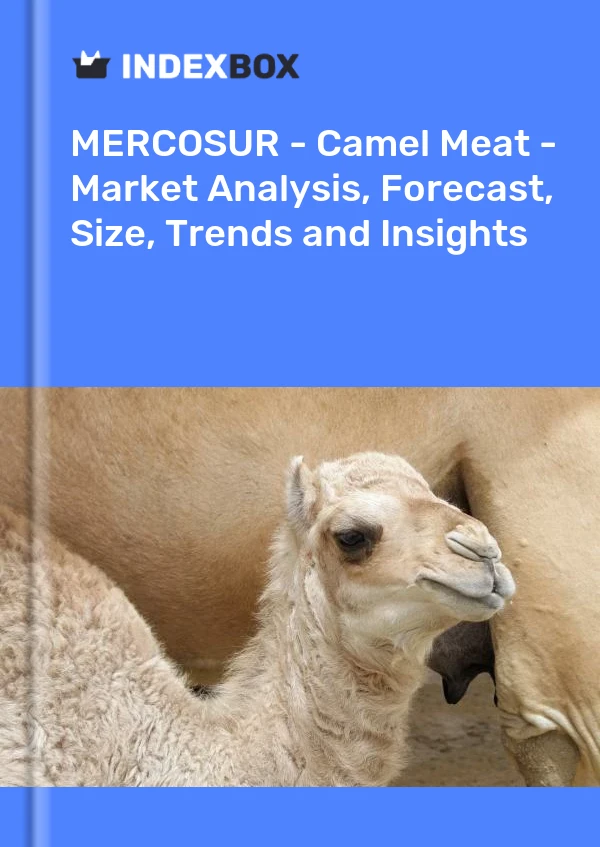 Report MERCOSUR - Camel Meat - Market Analysis, Forecast, Size, Trends and Insights for 499$