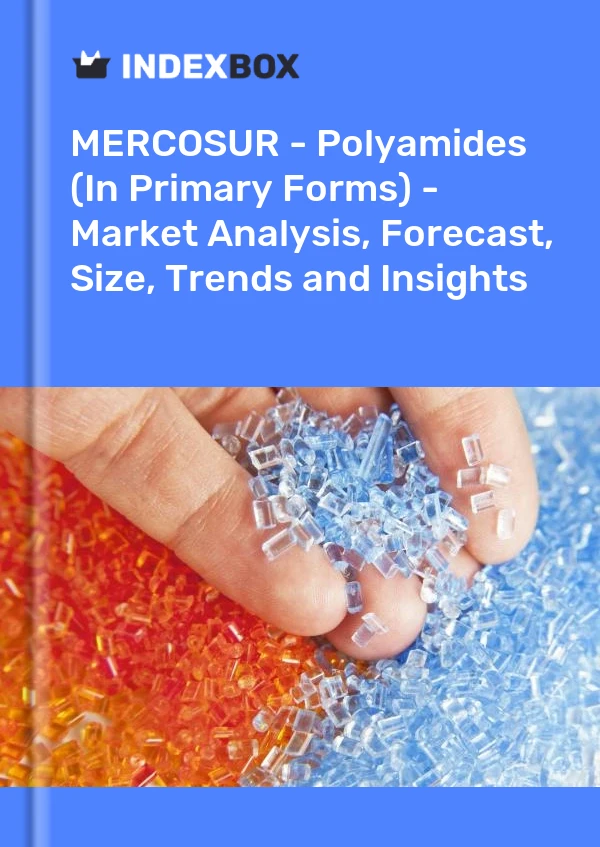 Report MERCOSUR - Polyamides (In Primary Forms) - Market Analysis, Forecast, Size, Trends and Insights for 499$