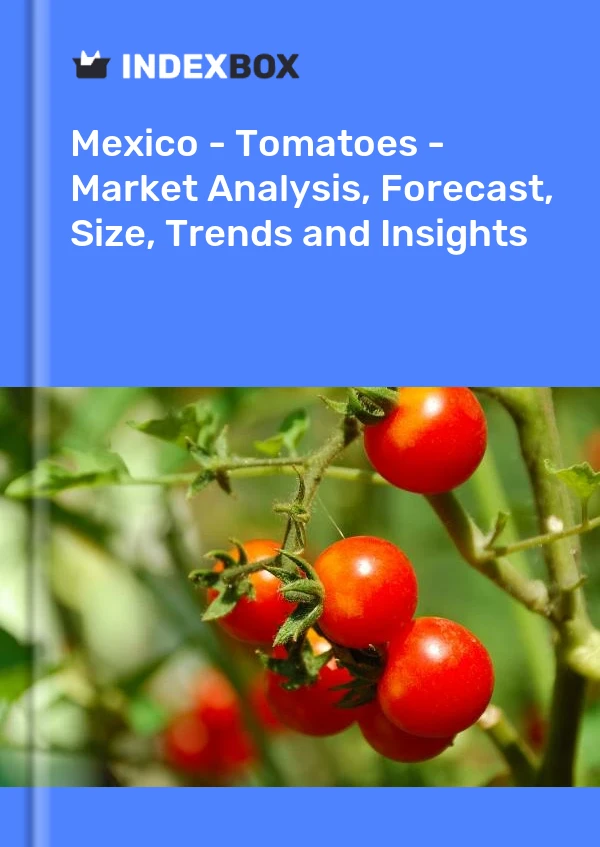 墨西哥 - 西红柿 - 市场分析、预测、规模、趋势和见解