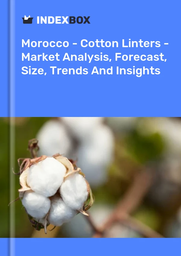 报告 摩洛哥 - 棉短绒 - 市场分析、预测、规模、趋势和见解 for 499$