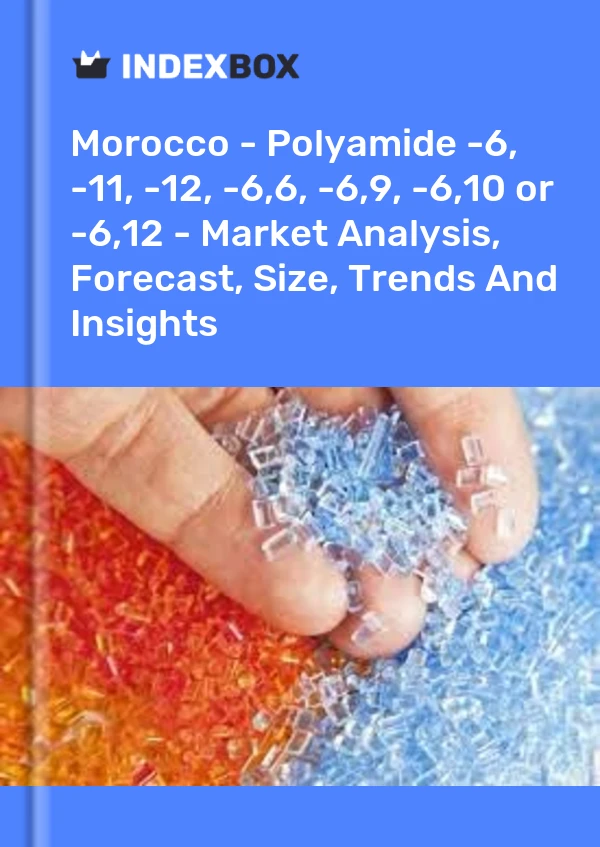 Report Morocco - Polyamide -6, -11, -12, -6,6, -6,9, -6,10 or -6,12 - Market Analysis, Forecast, Size, Trends and Insights for 499$