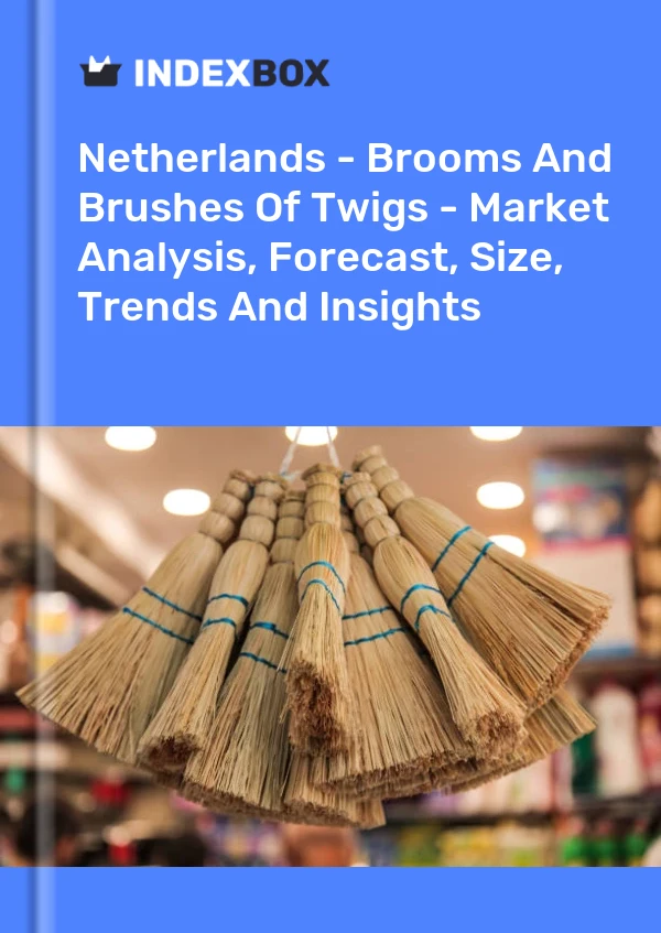 Report Netherlands - Brooms and Brushes of Twigs - Market Analysis, Forecast, Size, Trends and Insights for 499$