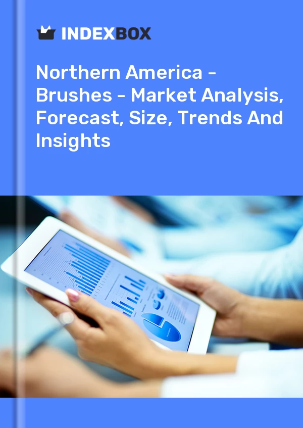 Report Northern America - Brushes - Market Analysis, Forecast, Size, Trends and Insights for 499$