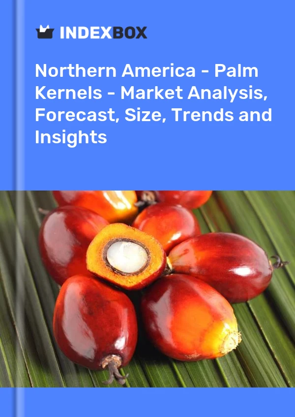 报告 北美 - 棕榈仁 - 市场分析、预测、规模、趋势和见解 for 499$