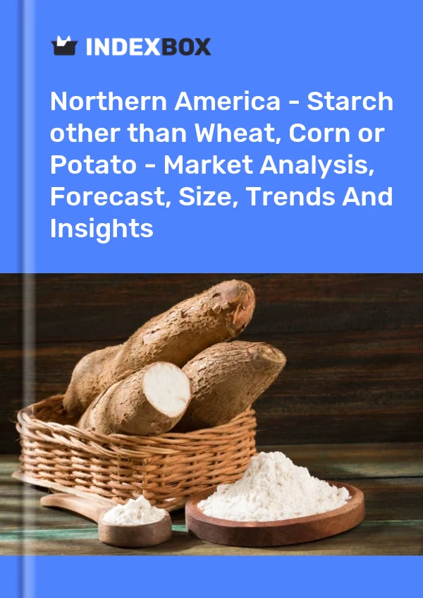 Report Northern America - Starch other than Wheat, Corn or Potato - Market Analysis, Forecast, Size, Trends and Insights for 499$