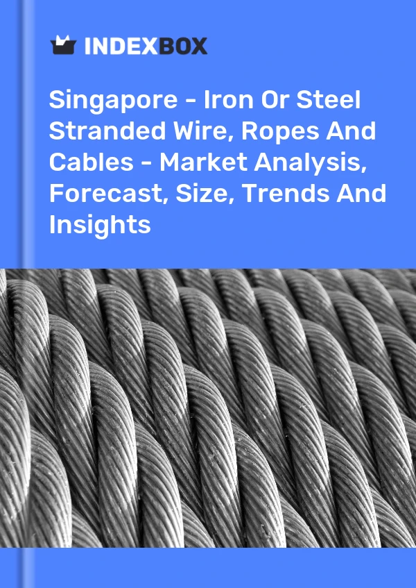 报告 新加坡 - 钢铁绞线、绳索和电缆 - 市场分析、预测、规模、趋势和见解 for 499$