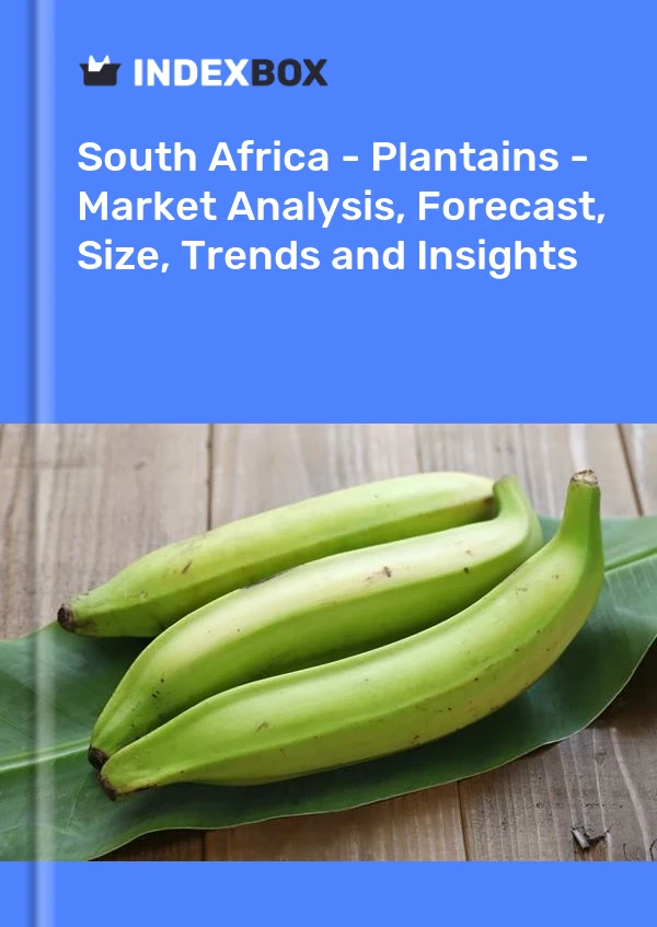 报告 南非 - 车前草 - 市场分析、预测、规模、趋势和见解 for 499$