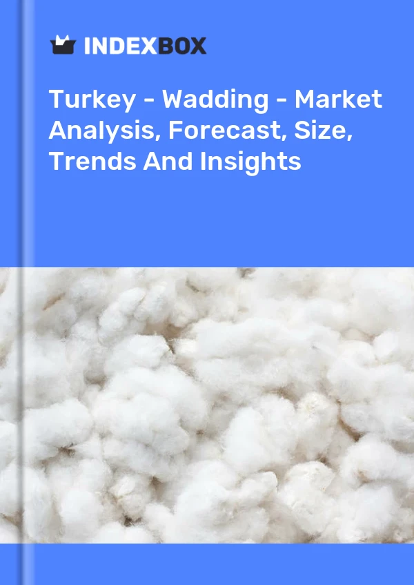 土耳其 - 填料 - 市场分析、预测、规模、趋势和见解