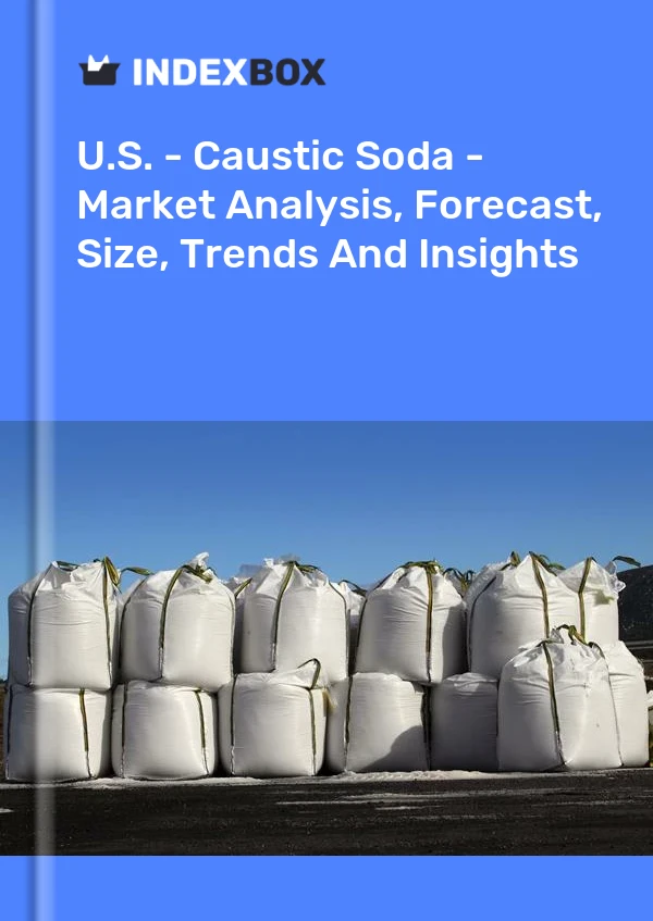美国 - 烧碱 - 市场分析、预测、规模、趋势和见解