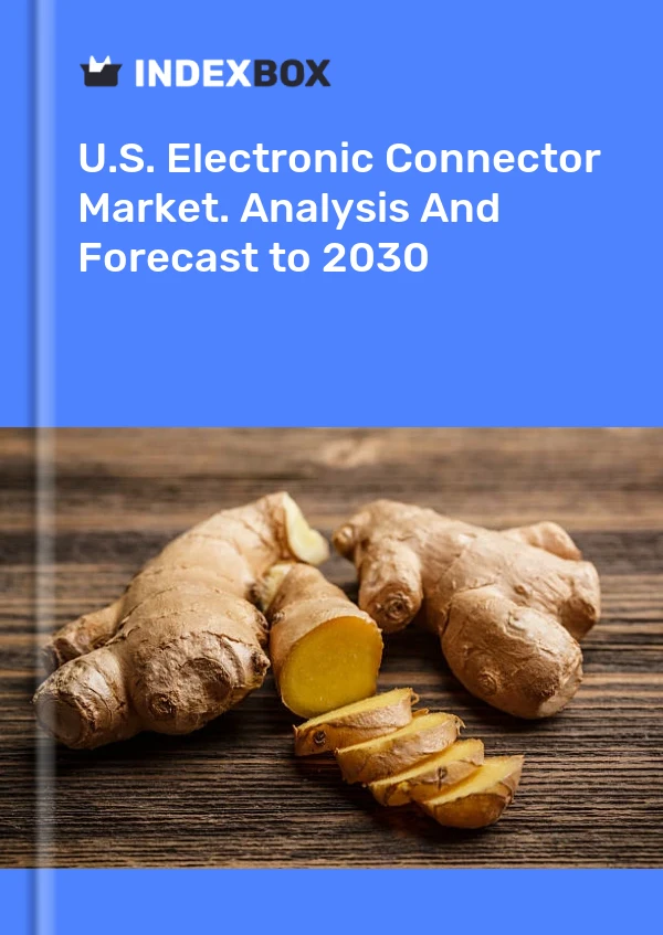 报告 U.S. Electronic Connector Market. Analysis and Forecast to 2025 for 499$