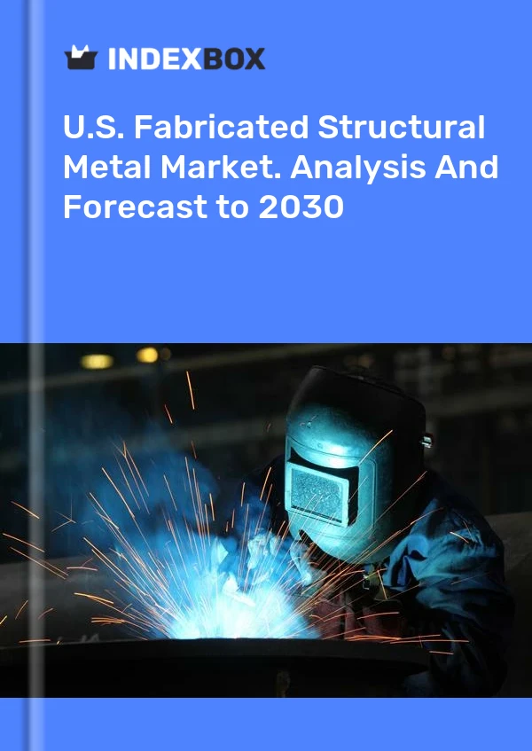 报告 美国装配式结构金属市场。 到2025年的分析和预测 for 499$