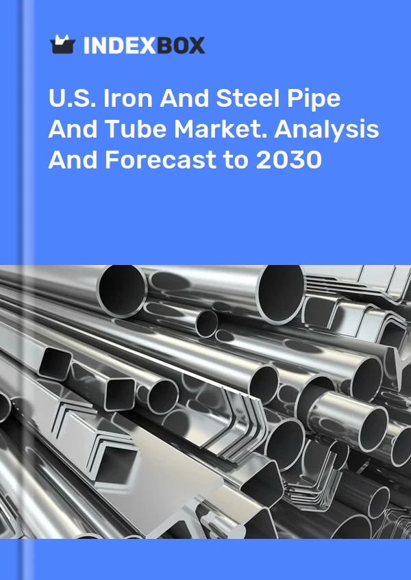 报告 U.S. Iron and Steel Pipe and Tube Market. Analysis and Forecast to 2025 for 499$