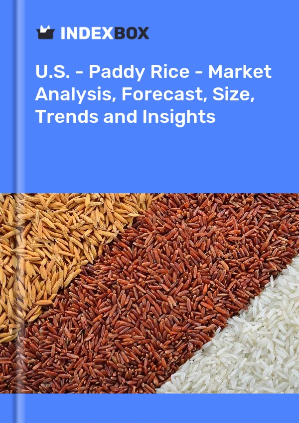 报告 美国 - 水稻 - 市场分析、预测、规模、趋势和见解 for 499$