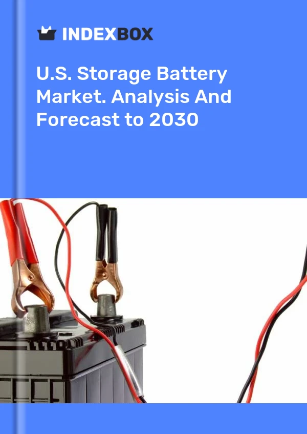 报告 美国蓄电池市场。 到2025年的分析和预测 for 499$